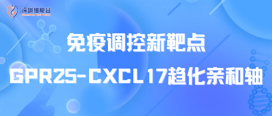 免疫调控新靶点：GPR25-CXCL17趋化亲和轴